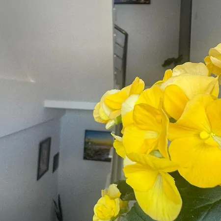 Brilant 호텔 Vlorë